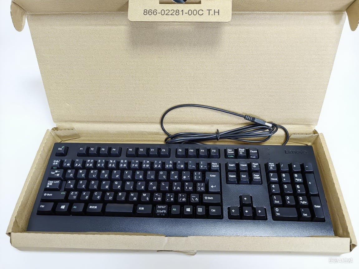 Lenovo SK-8827 有線キーボード ブラック 10個セット　新品未使用 Amazon | 適用する【レノボ正規品】静音設計 日本語配列 USB有線
