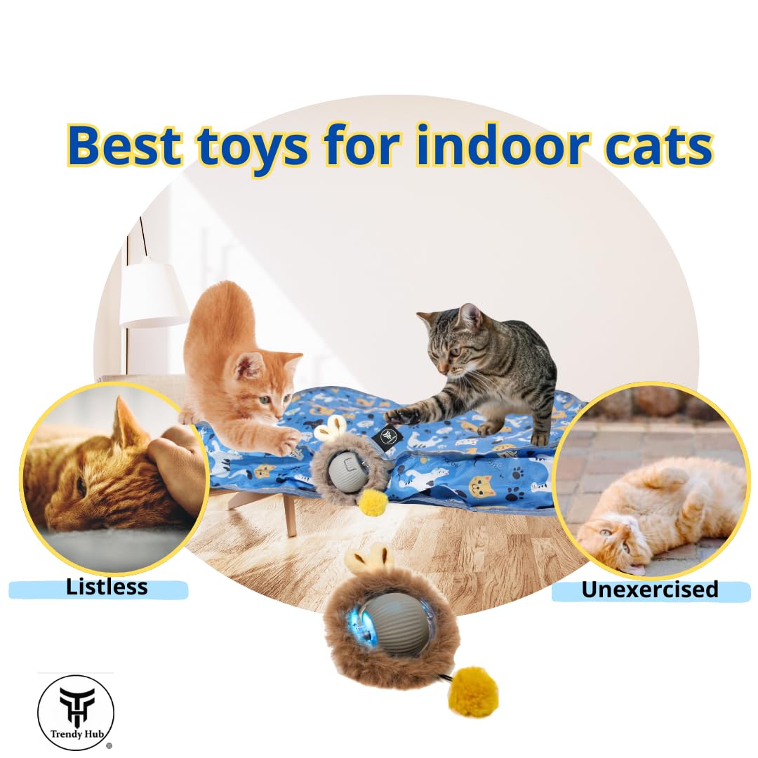 Juguetes interactivos para gatos, bola LED de rodamiento rápido en bolsa, bola recargable activada por movimiento automático; juego de escondite y persecución para ejercicios en interiores;