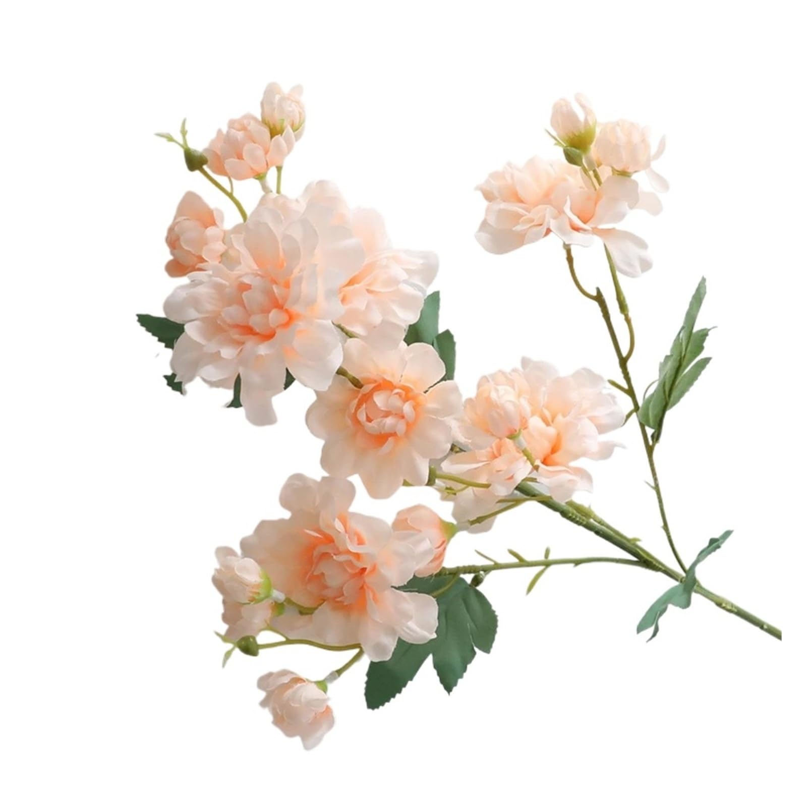 HamPaesk 1pc Artificial Flowers Artificiales Fake Flower For Room Apartment Decor(Champagne)