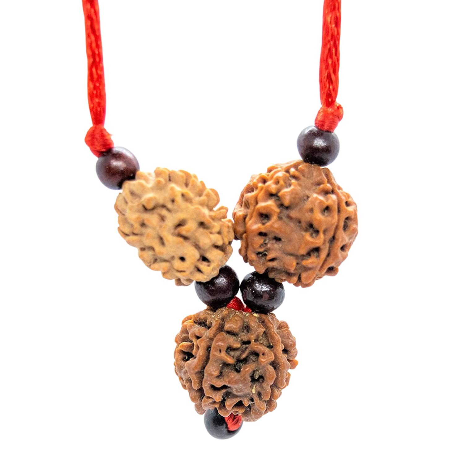 Apnisanskriti Vidhya Bandh (3,4 and 6 Face Siddha Rudraksha Beads, Lab Certified) - Pack of 1-image-5