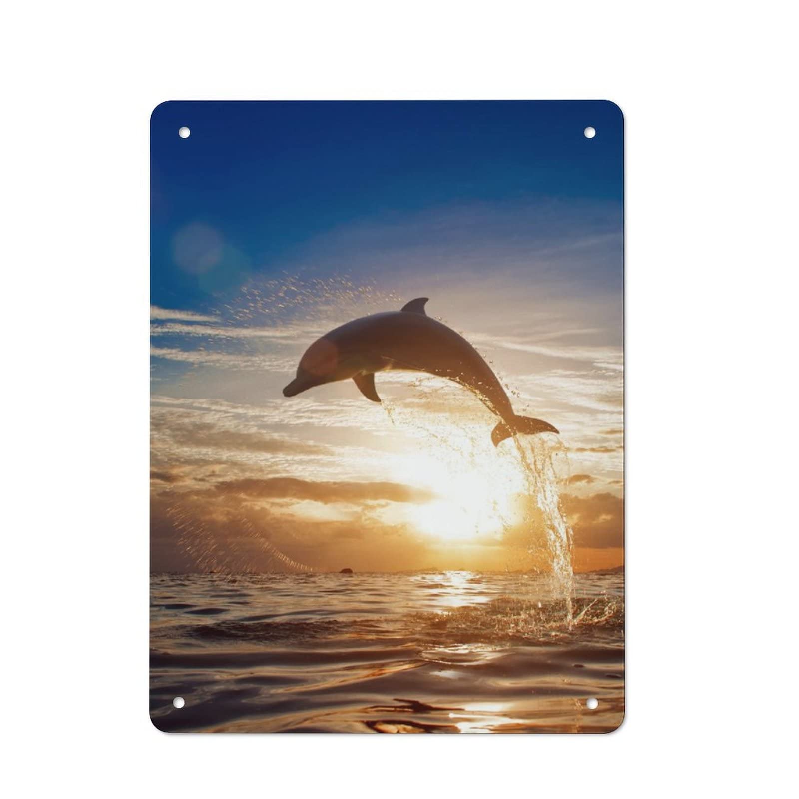 イルカポスター　額入り 動物写真 イルカ インテリア アートポスター額装 AS2993