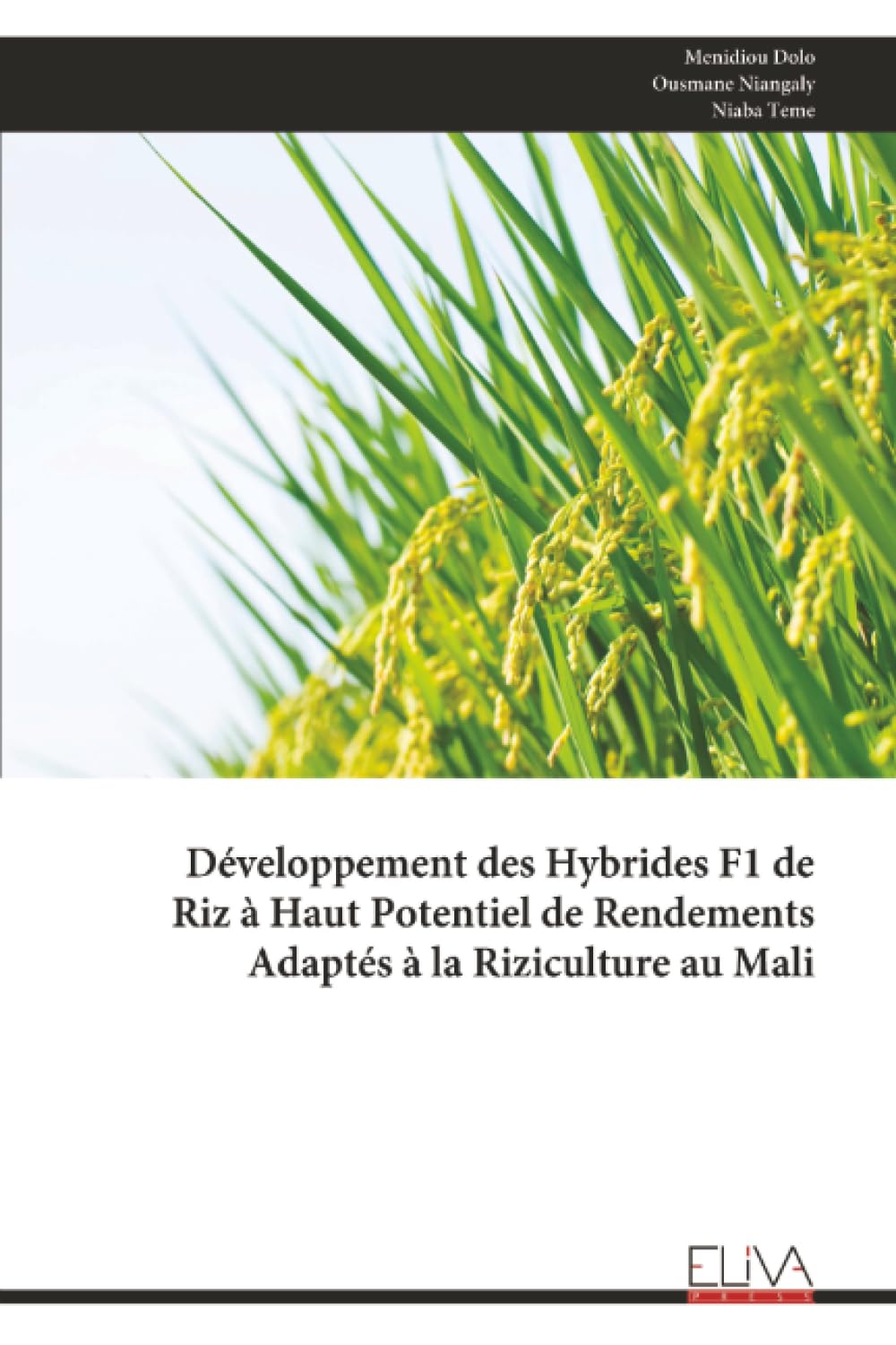 Développement des Hybrides F1 de Riz à Haut Potentiel de Rendements Adaptés à la Riziculture au Mali