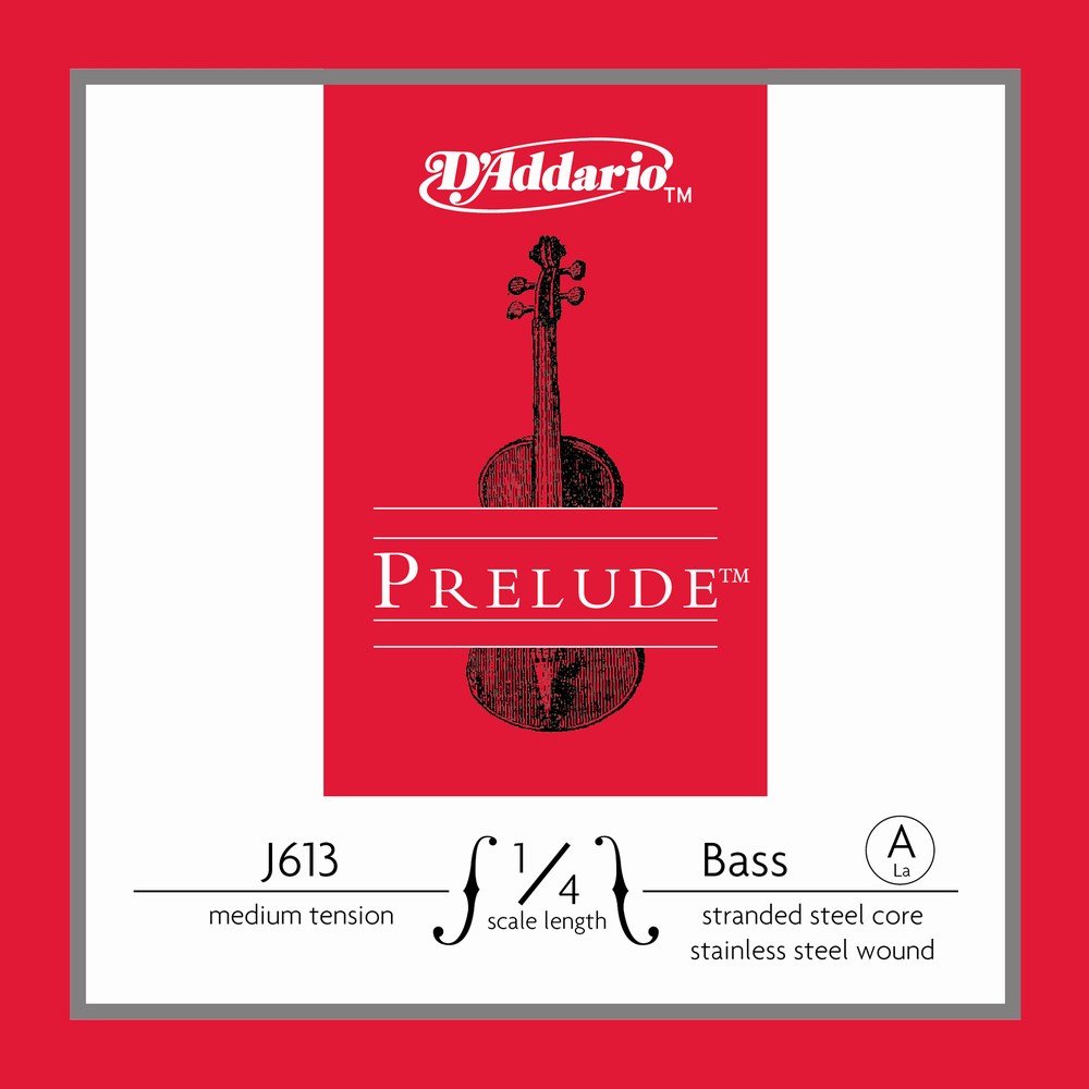 D'Addario Prelude Bass 10Bk A 1/4 M (J6131/4M-B10)