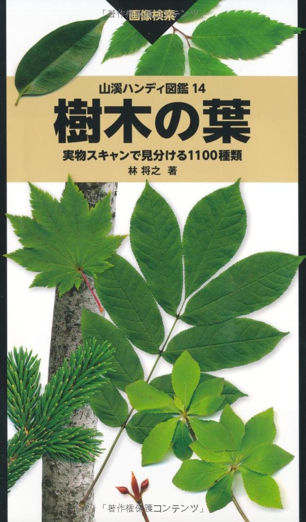 樹木の葉 実物スキャンで見分ける1100種類 山溪ハンディ図鑑 林 将之 本 通販 Amazon