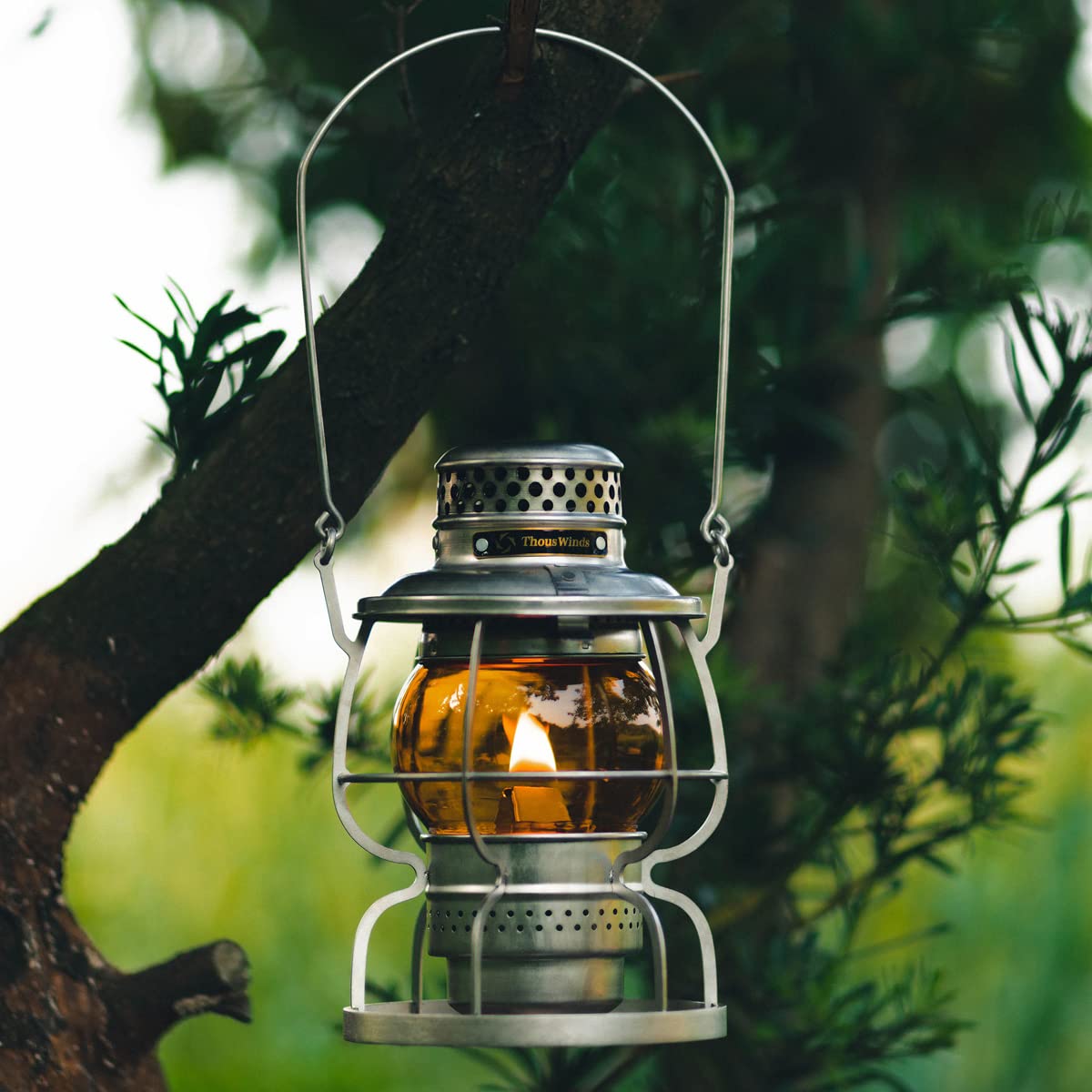 Amazon.co.jp: Thous Winds オイルランタン ホヤ ランタン グローブ