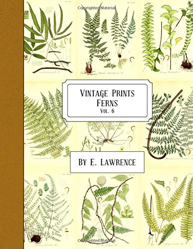 Vintage Prints: Ferns: Vol. 6