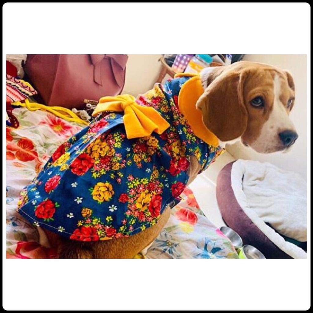 See full amazon price history chart for Kitty & The Woof Gang Beautiful Blue Denim Party Dress with Multicolored Floral Print and Mustard Color Bow and Collar | Dog, Cat Dress Small Medium Large Dog Female | Size L Kitty & The Woof Gang Beautiful Blue Denim Party Dress with Multicolored Floral Print and Mustard Color Bow and Collar | Dog, Cat Dress Small Medium Large Dog Female | Size L (B08F6HQTYM) Amazon Price History, Amazon Price Tracker