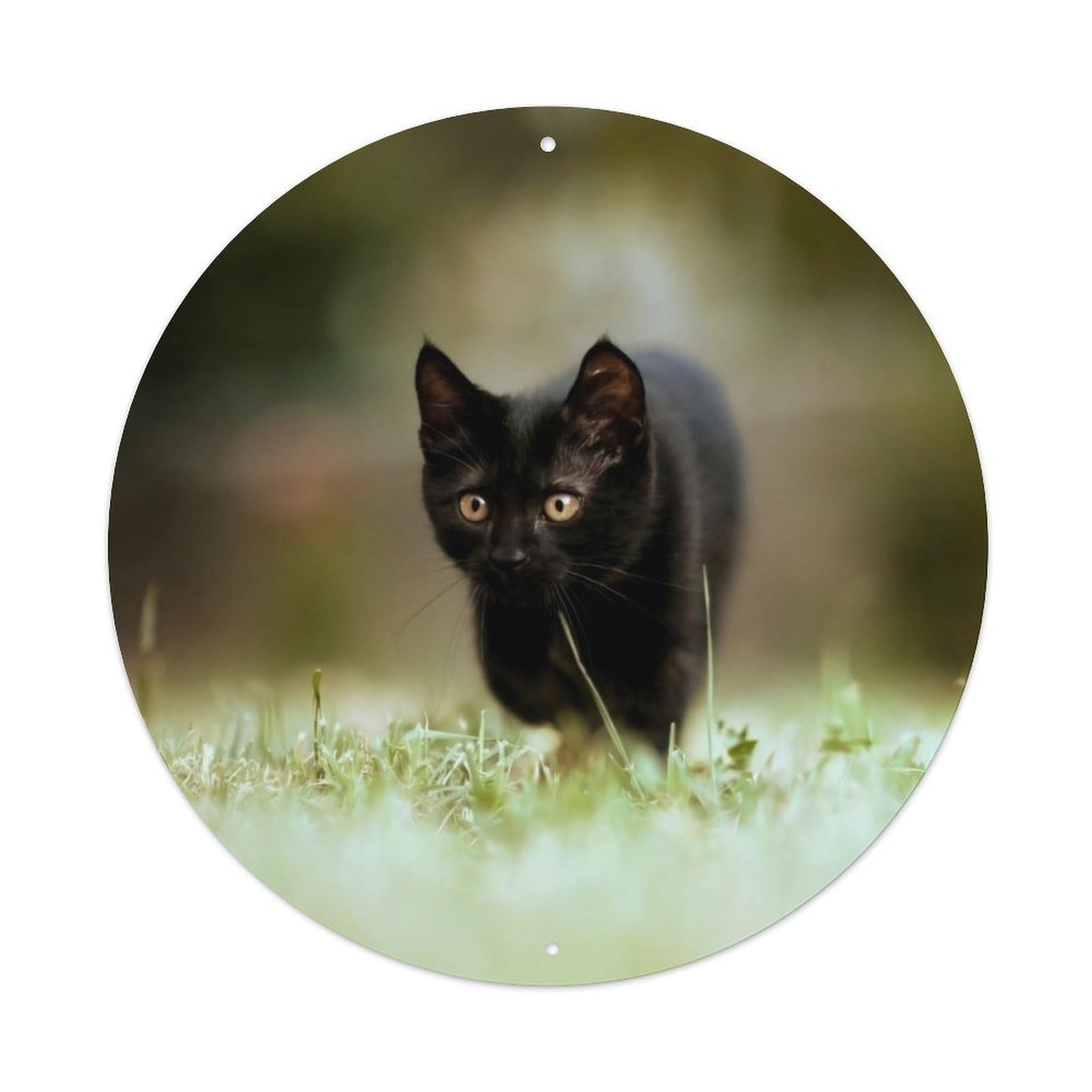 Cwbufd Vintage Style Animal Black Cat In Nature Garden Serene Feline Dynamic Movement Vintage Metal Tin Sign Plaque Wall Decor For Cafe, Club Bar, Office, Garden Metal Poster 8X8inch
