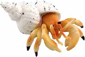 ヤドカリ　インテリア　オブジェ　置物 ヤドカリ インテリア オブジェ 置物