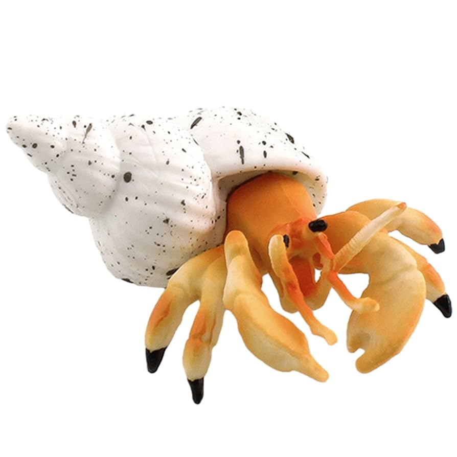 ヤドカリ　インテリア　オブジェ　置物 Amazon.co.jp: ヤドカリのおもちゃ | 模造ヤドカリの置物 ホーム