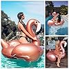Rancross™ Luftmatratze Aufblasbarer Flamingo Figur 150*150*115cm #5