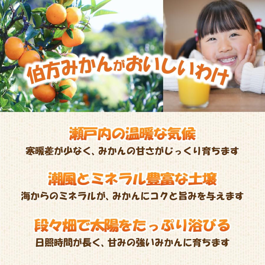 Amazon.co.jp: みかんジュース 500ml瓶×12本入 : 食品・飲料・お酒