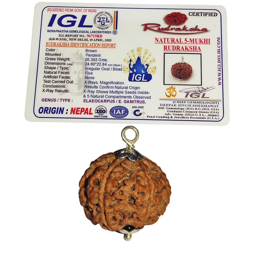 5 Mukhi Rudraksha Original Certified with IGL | 5 Faces Nepali Rudraksha | for Men and Women | | by Shree Rudraksham | in a Seal Pack Box | (B0BRKZTPJX) Amazon Price History, Amazon Price Tracker