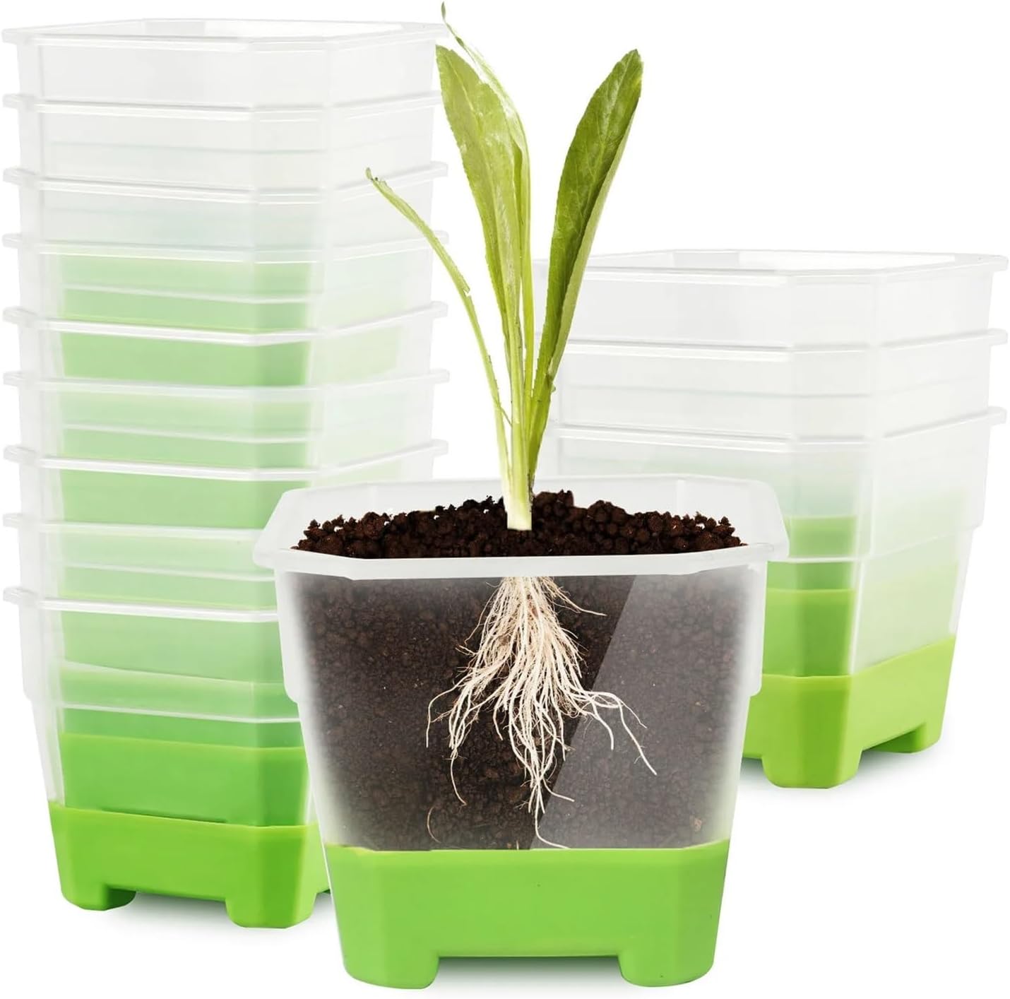 Clear Nursery Pots with Drainage 24Pcs Nursery Pot Planters Silicone Plastic Square Transparent Reusable Flower Plant Seed for Home Garden Farm
