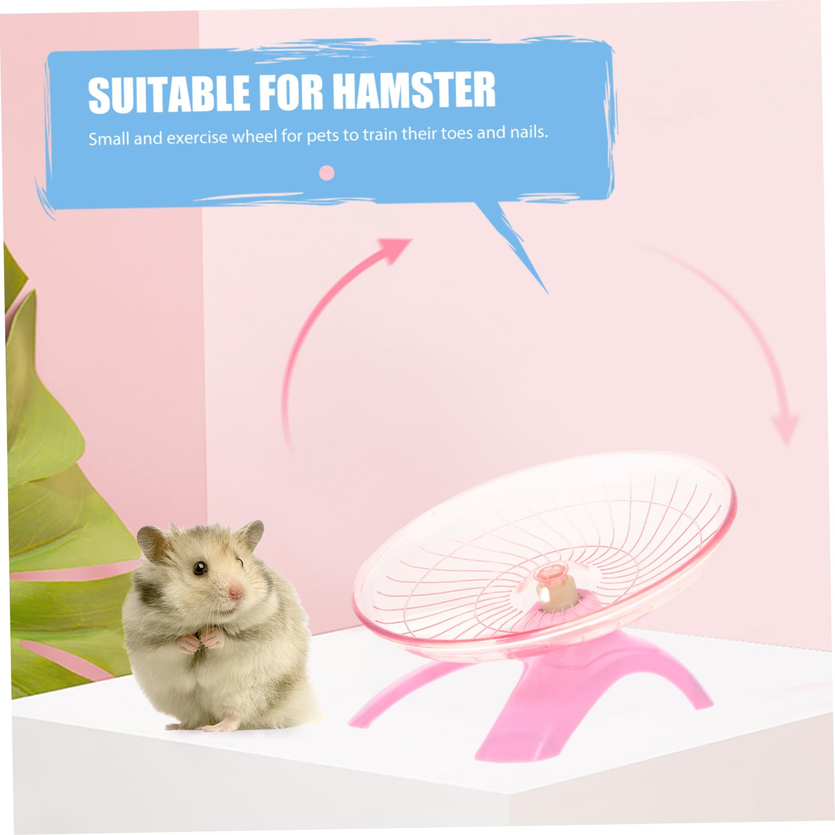 BESPORTBLE Hamster Running Wheel Small Animal Exercise Disc Pet Accessory Non-Running Disc Perfect for Hamsters Rats and Small Pets