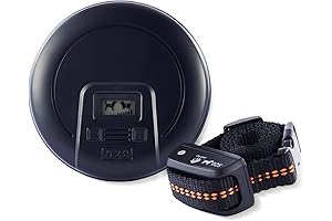 Keep Away Area with Dog Shock Collar