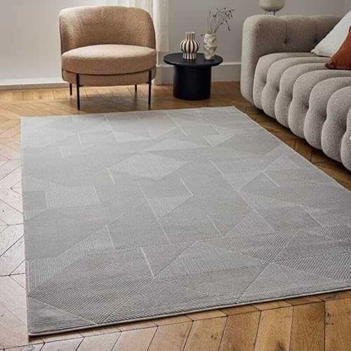 THE RUGS Carmel Modern Area Rug - Stain-Resistant, Non-Shedding, Durable Rugs for Living Room and Bedroom [ Abstract Grey, 120x170 cm ]