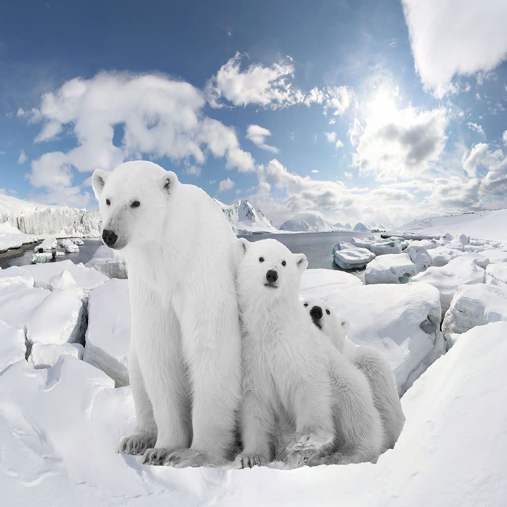Manta Polar Grande Gruesa 150X200Cm para Cama 150, 3D Oso Polar Glaciar Impresión Patrón Manta De Franela Invierno Manta Felpa De Sofá 100% Microfibra Suave, Caliente para Hogar