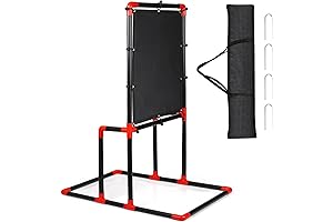 "Strike Zone Target: Precision Practice for Baseball and Blitzball"