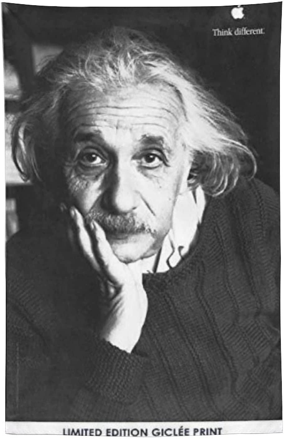 未額装　アインシュタイン　ポスター　apple アルバートアインシュタイン 広告 ポスター 雑貨 小物 写真 企業