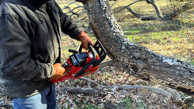 Amazon.com : PRORUN 37.2cc 14-in. Gas-Powered 2-Cycle Chainsaw