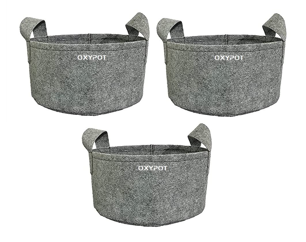 OXYPOT® Geo Fabric Grow Bags 350 GSM (12 x 6 Inches) for Growing Vegetables, Fruits Leafy Vegetables, Flowers & Herbs in Home, Terrace, Balcony.(Pack of 3)