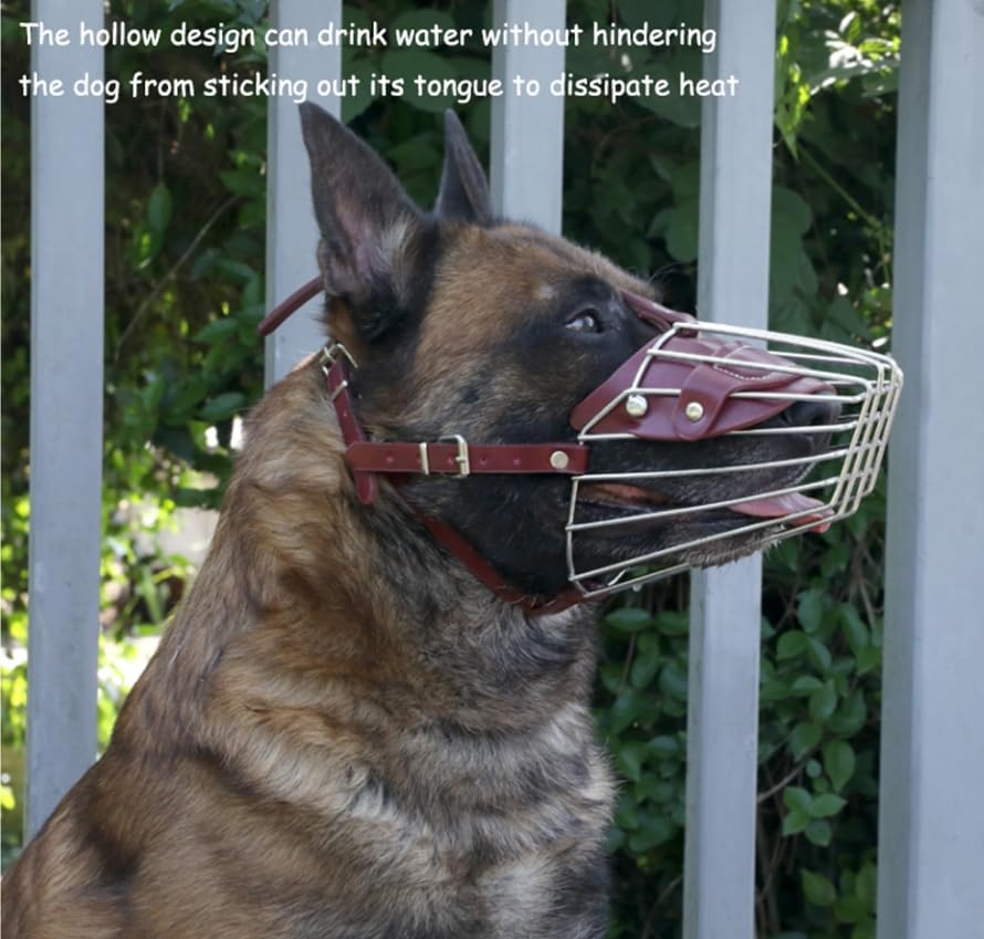 Museruola Per Pitbull In Metallo Bronzedog - Taglia Grande, Traspirante, Con Imbottitura In Neoprene - Foto 8