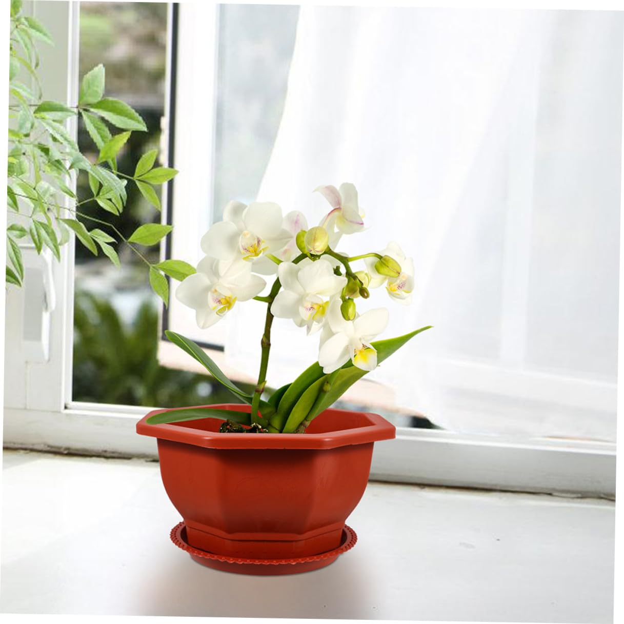 et Réutilisables en PP Rouges Pots Octogonaux Lot de 5 Faciles à Entretenir pour Plantes Succulentes et D'intérieur Adaptés pour Usage Intérieur et Extérieur