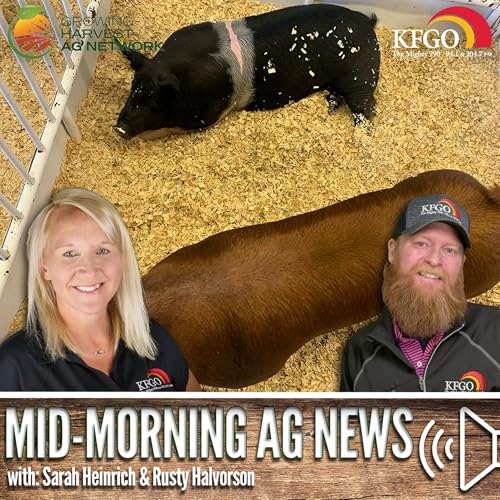 Mid-morning Ag News, May 14, 2026: One program is focused on efficient and safe animal handling