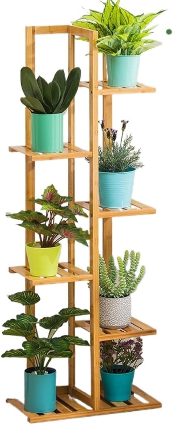 コレクション株】 アデニア ペリエリ メタモルファ 顔 中川智治