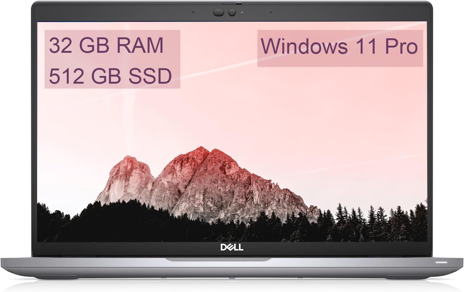 Amazon.com: Dell 5420 Latitude Laptop 14