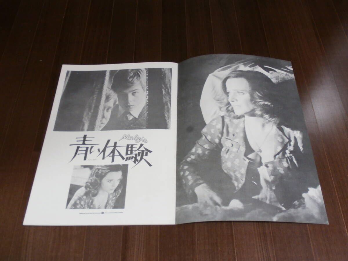 Amazon.co.jp: 映画パンフレット 青い体験 続青い体験 2冊セット