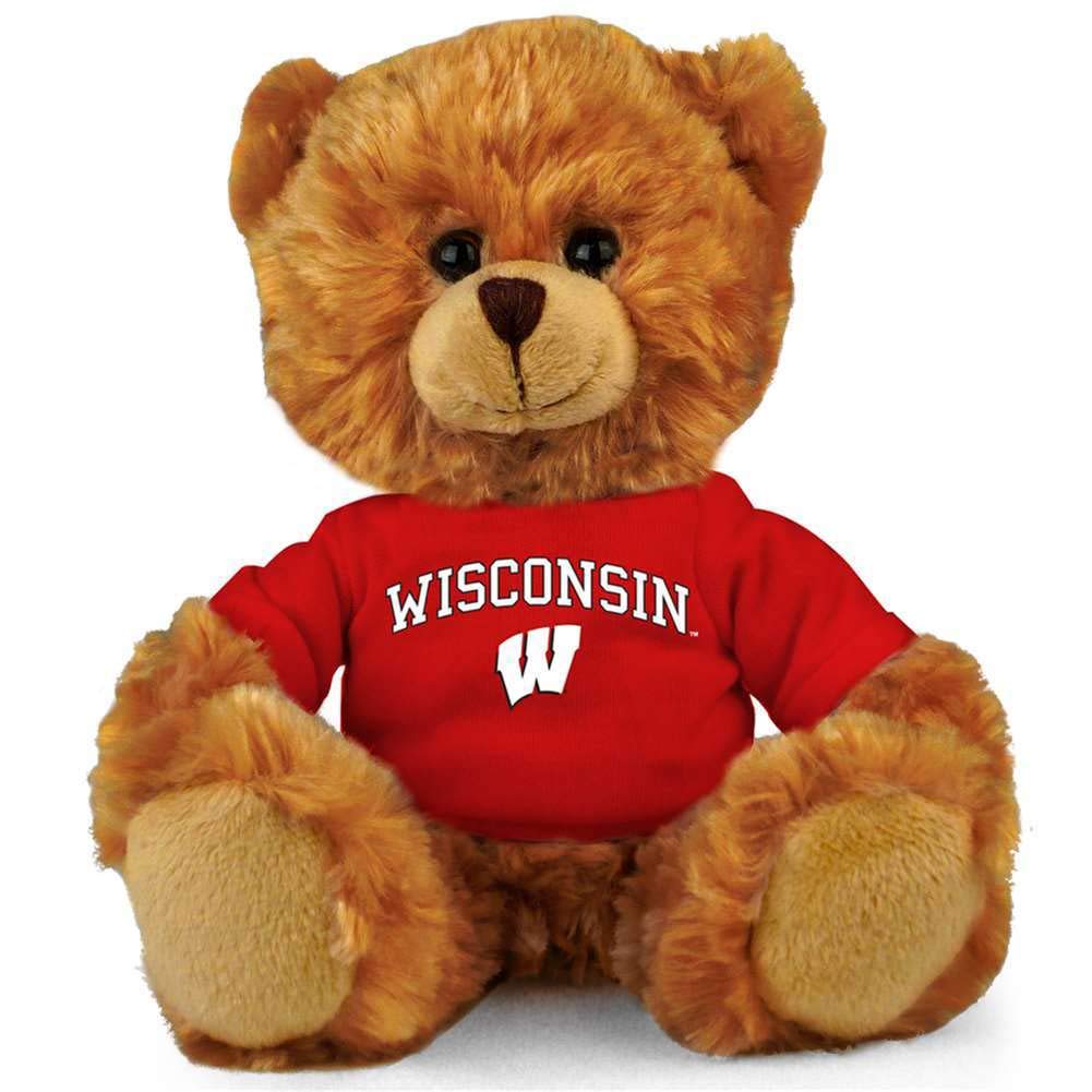 Sport Town Wisconsin Badgers Stuffed Bear - 11