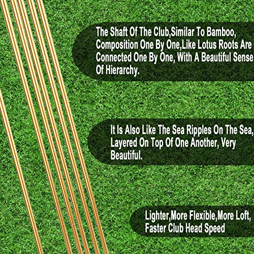 LEAGY Timeless Classic Golf Putter 35" Length Putt Putt Style TwoWay