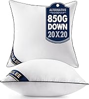 MIULEE 20x20 Pillow Inserts Set of 2 - Premium Down Alternative Throw Pillow Inserts for Sofa Couch, Fluffy 850g Microfiber Fill