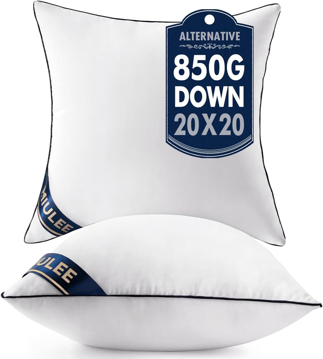 20x20 Pillow Inserts Set of 2 Throw Pillows 20 Inch Premium Down Alternative Pillow Inserts Decorative Pillow Stuffer for Sofa, Couch (20x20 inch, Set of 2)