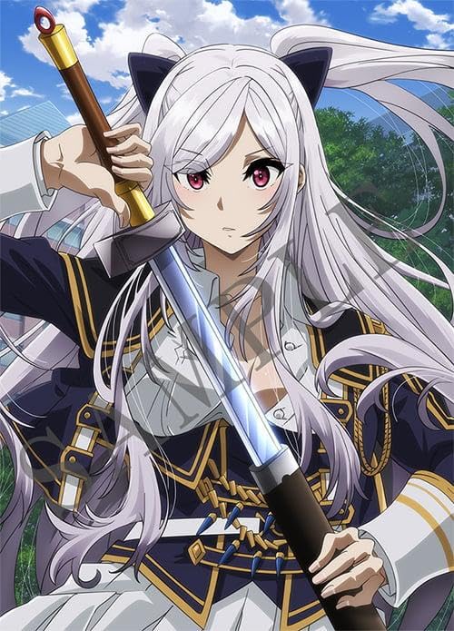 陰の実力者になりたくて 全巻 特典 キャンバスアート アレクシア 陰の実力者になりたくて 全巻 特典 キャンバスアート アレクシア