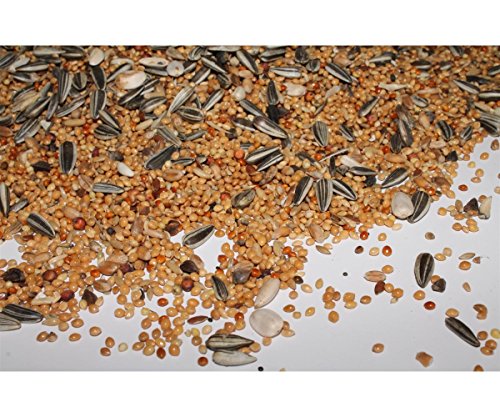 Großsittichfutter 10 kg Anhaltiner Premiumfutter