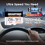 [5-Yrs Free Data Recovery] GIGASTONE 256GB Micro SD Card, TLC High Endurance Pro, Speed Up to 100MB/s, Compatible with REDTIGER Rove VIOFO VANTRUE PRUVEEO ARIFAYZ Dash Cam, MicroSDXC UHS-I A1 V30 U3