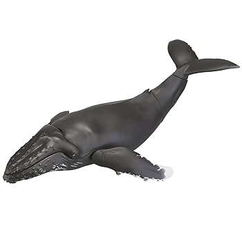 Amazon.co.jp: ソフビトイボックス013 クジラ ザトウクジラ ノン