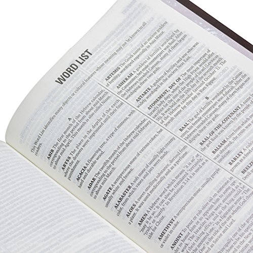Bíblia Bilíngue Português – Inglês: Nova Tradução na Linguagem de Hoje (NTLH)