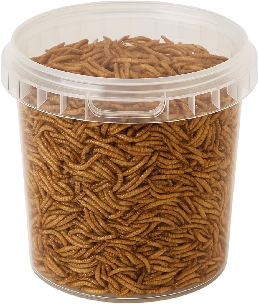 Premium Wild Bird Food 1L Tub (1L Tub, Dried Mealworms)