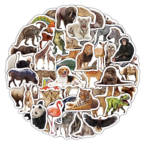 WO̎ʎIȓXebJ[50 qprV[Al̎rjm[gp\RXP[g{[hV[obON̎qj̎qw ()