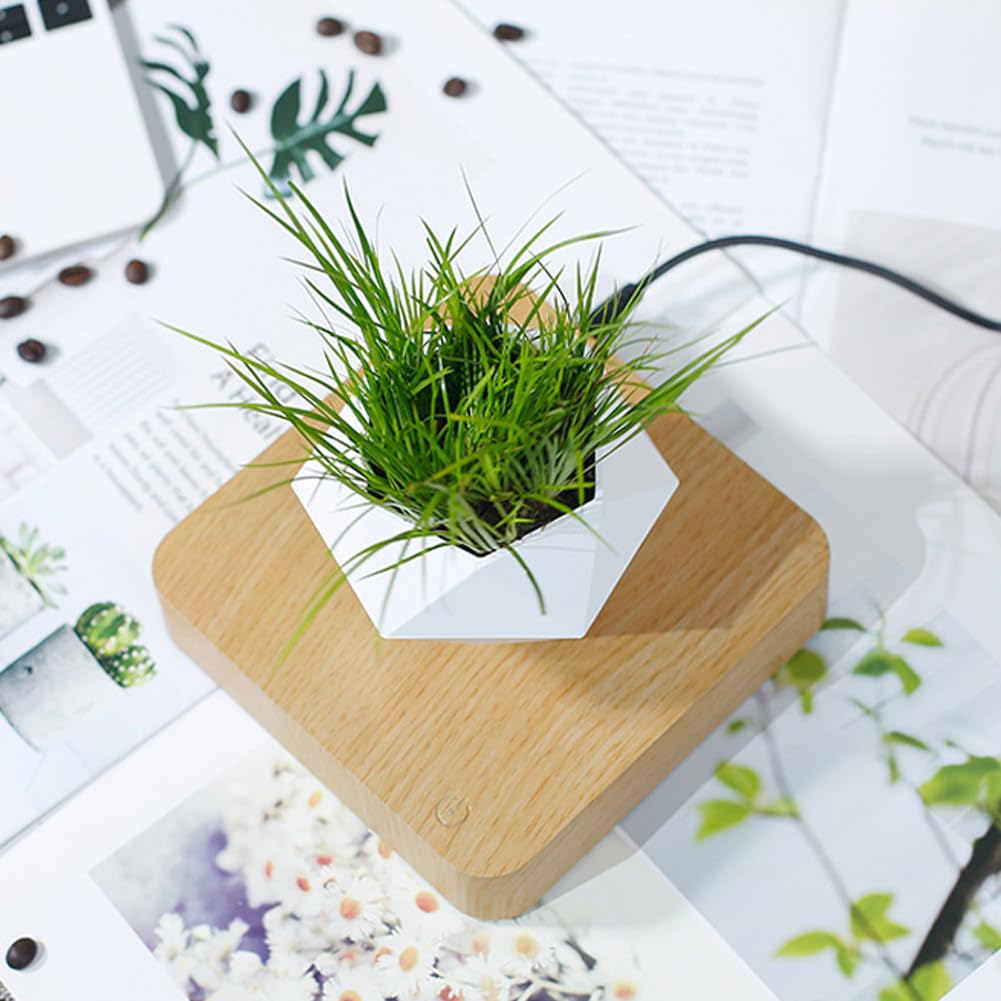 ZBOLI Bonsaï à air Flottant, Pot de bonsaï à Suspension à Rotation de Grain de Bois, Ornement créatif de Plante en Pot Rotatif à 360 °, Pot de Plante Flottant pour Petites Plantes, pour la décoration