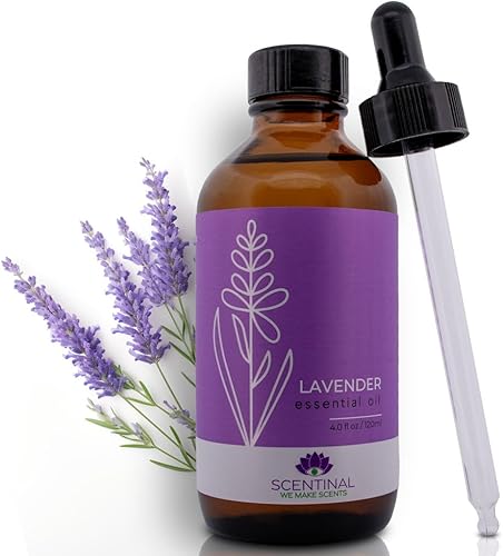 Aceite esencial de lavanda Scentinal 100% puro, natural y sin diluir Botella extragrande de 4 onzas (4.1 fl oz) con cuentagotas Experiencia