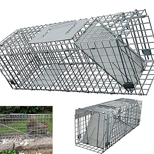 Large Metal Rat Cage Trap For Catching UK Grey...