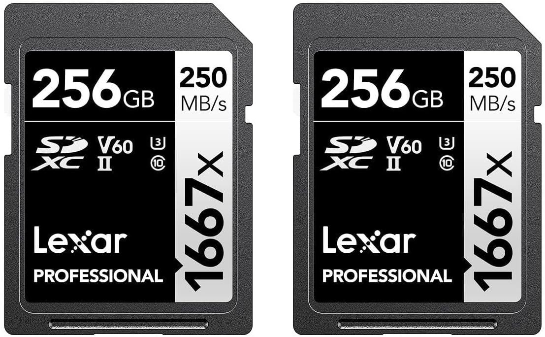 256GB (2-Pack) Professional 1667x SD Card, UHS-II, C10, U3, V60, Full HD, 4K, Up To 250MB/s Read SDXC Memory Card, for Professional Photographer, Videographer, Enthusiast (LSD1667256G-B2NNU)