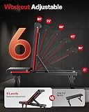 PASYOU Adjustable Flat Weight Bench, 2 in 1 Workout Bench with 660 lb Load Capacity, 6-Level Foldable Bench Press for Home Gym, Fully Assembled Dual-Frame (Model: PB300) - 2