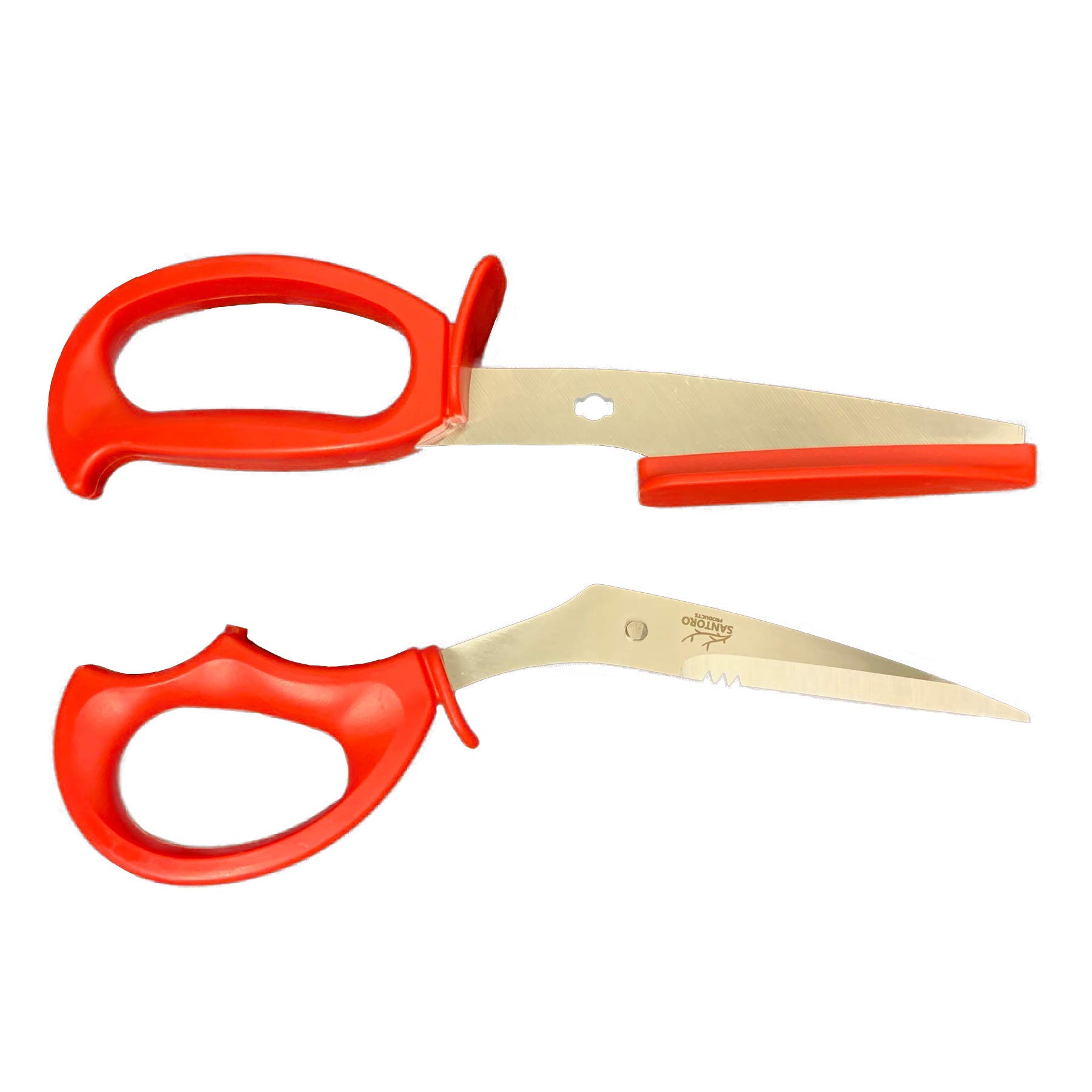 Amazon.com: Sea Scissors for Crab Lobster and Shellfish, Surgical