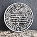 Strugglejewelry Serenity Peace Within The Storm Sobriety Chip AA Medallion with Serenity Prayer Perfect for AA Recovery and Motivation (Single Coin)